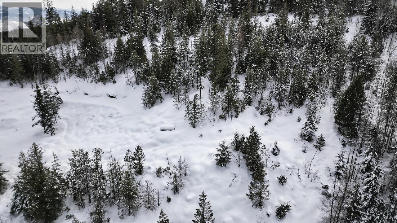 305 RICHIE ROAD - 15