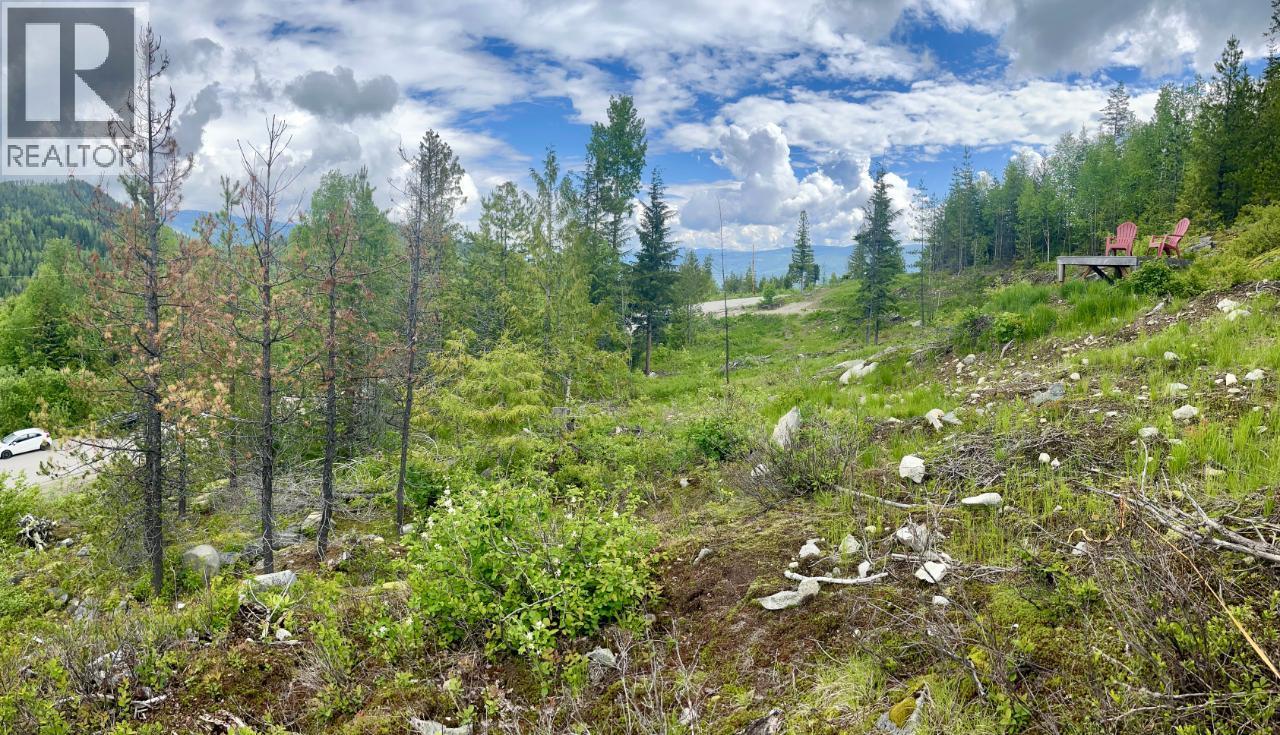 305 RICHIE ROAD - 42