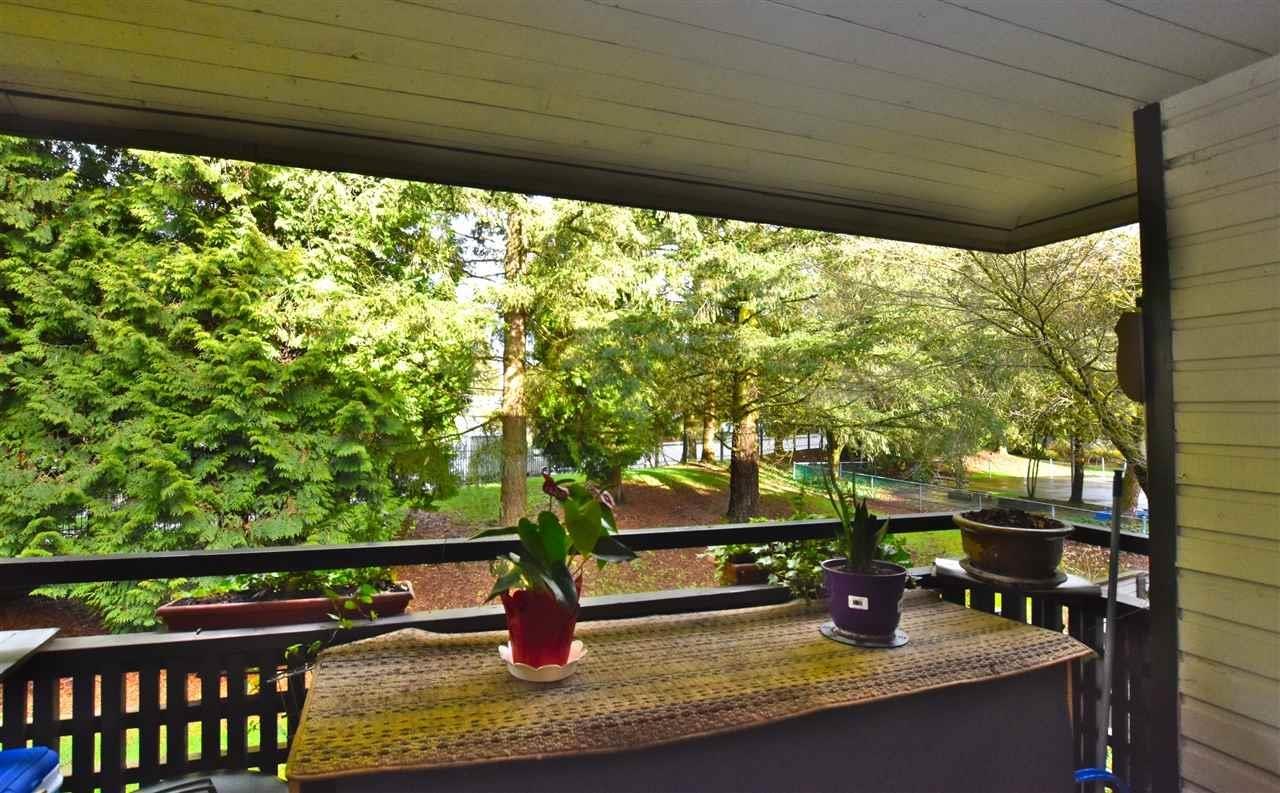 10527 HOLLY PARK Lane - photo 2