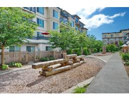 A105 20487 65 Avenue, Langley, BC V2Y3K5 Photo 7