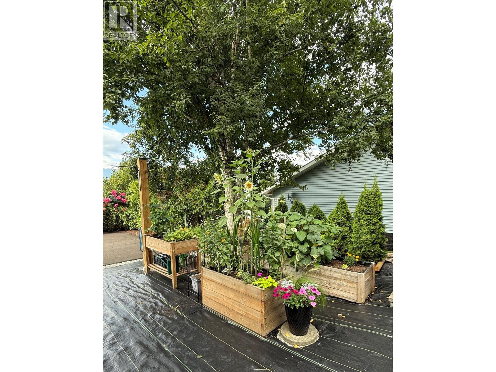 1131 49 Avenue NE, Salmon Arm