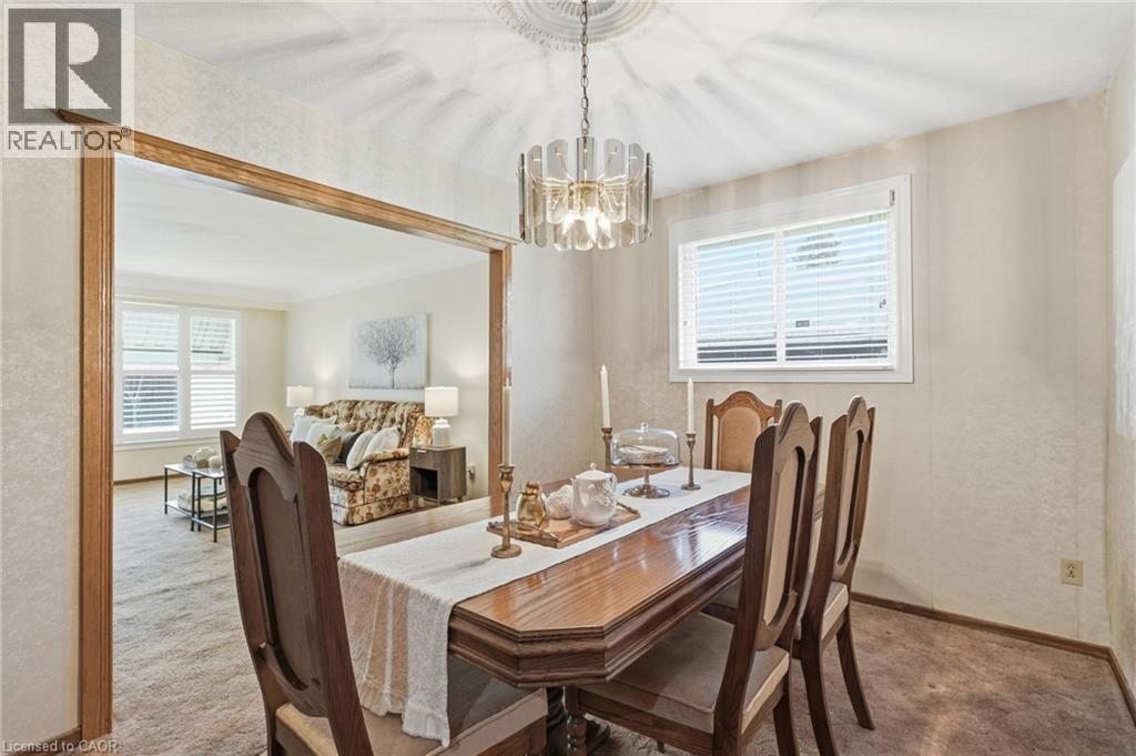 256 WHITNEY Avenue - 11