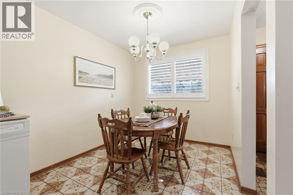 256 WHITNEY Avenue - 17