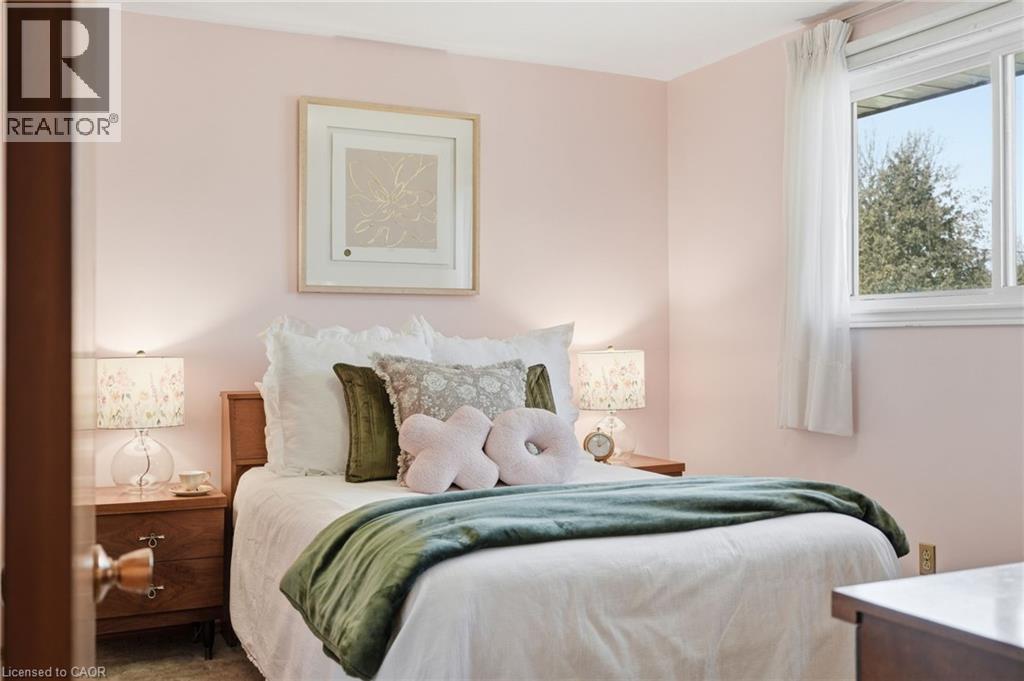 256 WHITNEY Avenue - 19
