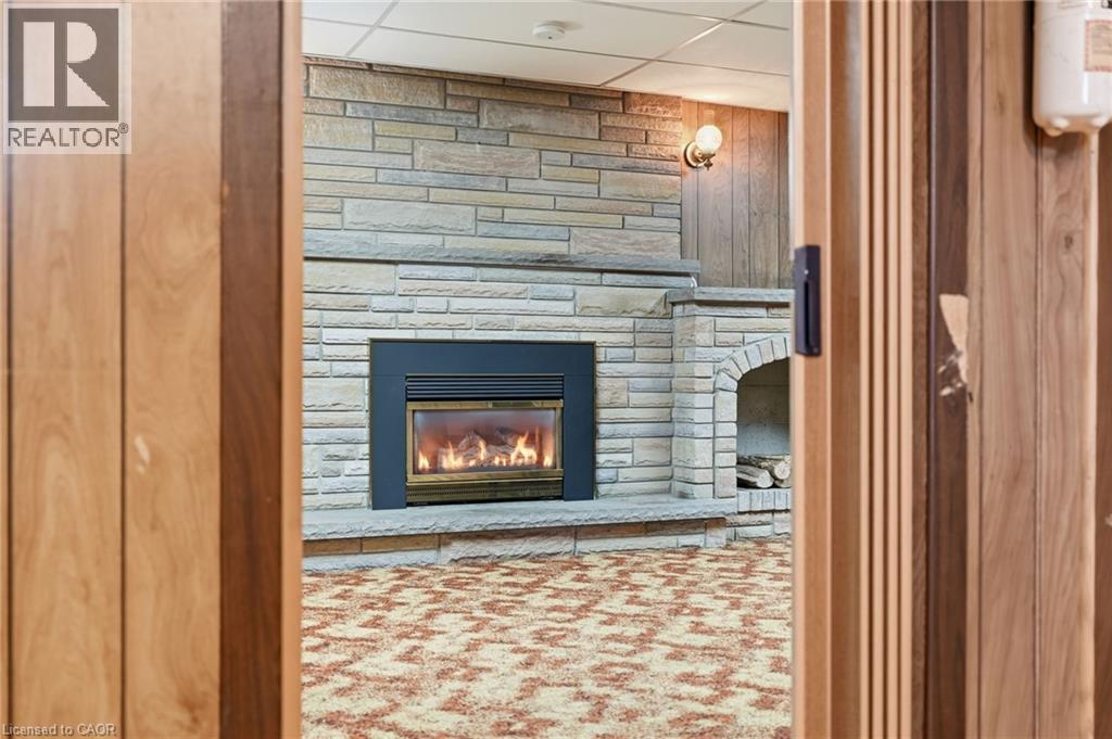 256 WHITNEY Avenue - 29