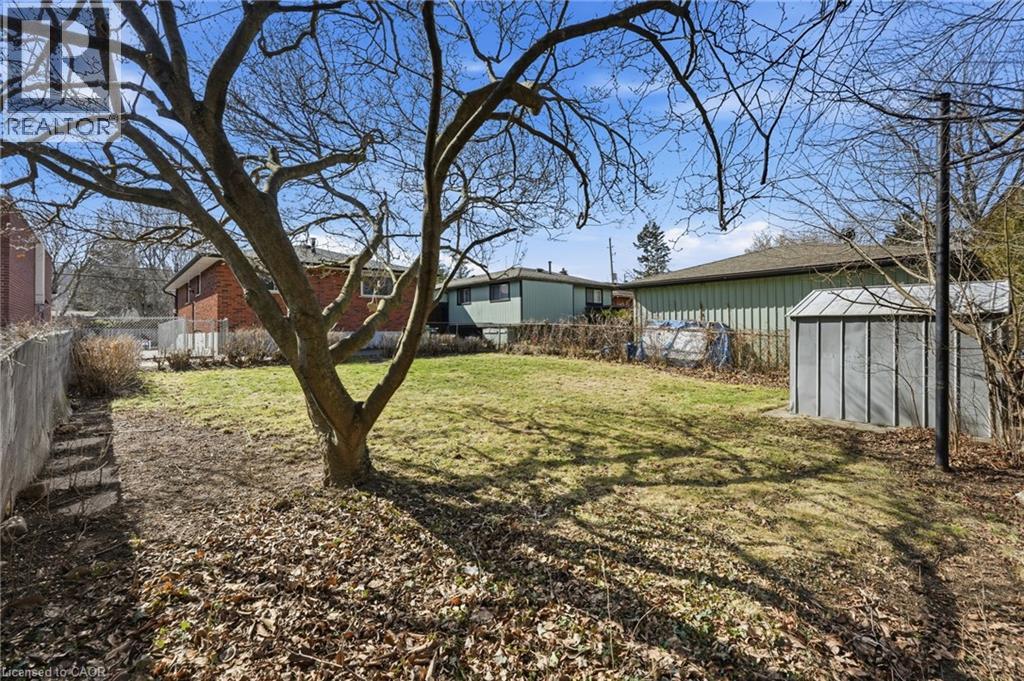 256 WHITNEY Avenue - 50