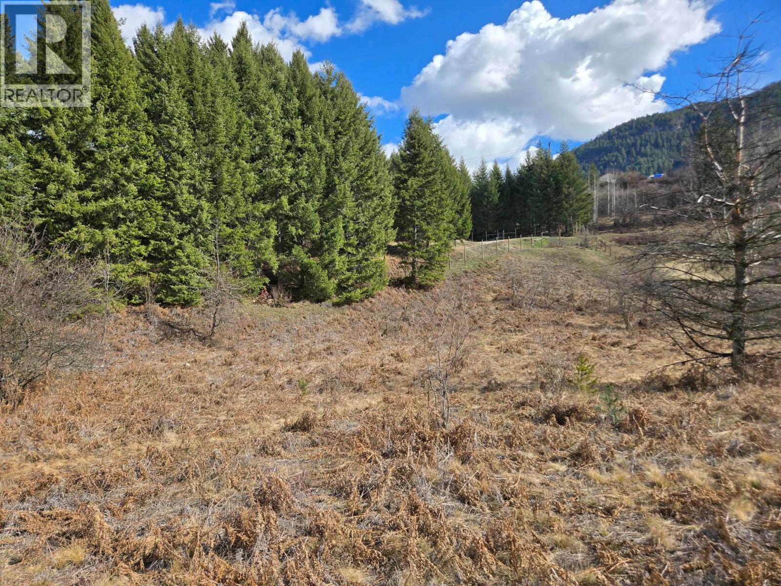 Lot 4 Bridgeview Road, Castlegar