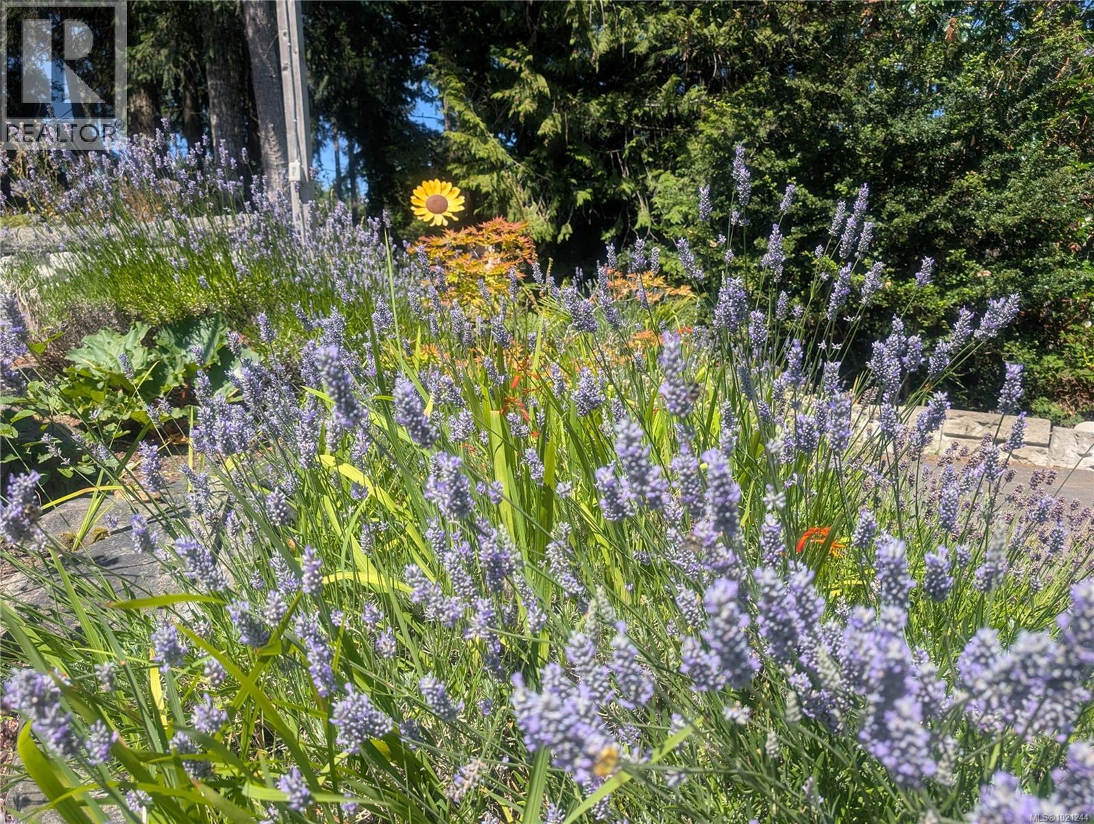  1375 Beddis Road, Salt Spring