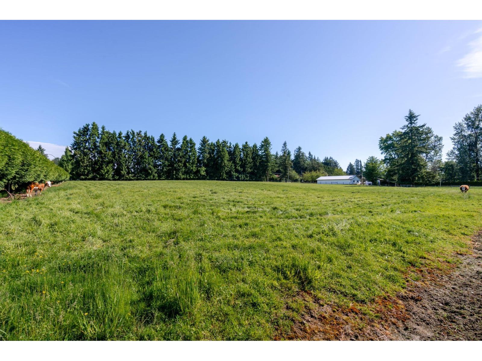 5728 BRADNER ROAD, Abbotsford