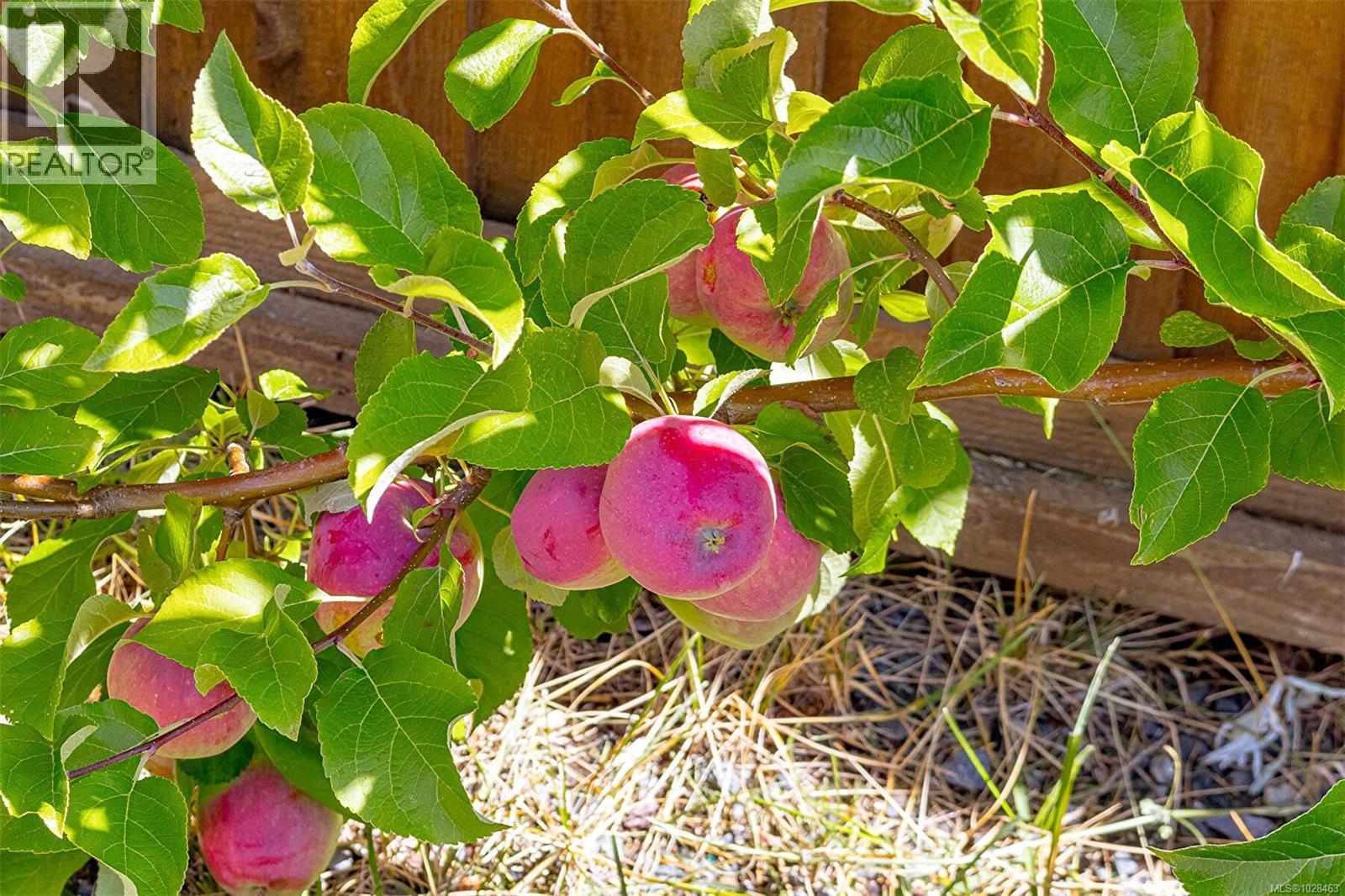  1298 Centauri Drive, Langford