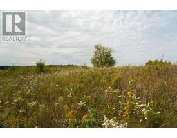 1430 County Rd 50 S, Adjala Tosorontio, ON L0N1P0 Photo 11