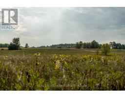 1430 County Rd 50 S, Adjala Tosorontio, ON L0N1P0 Photo 14