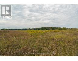 1430 County Rd 50 S, Adjala Tosorontio, ON L0N1P0 Photo 10