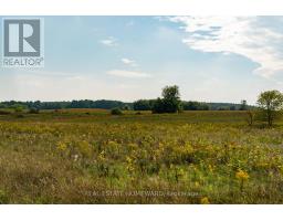 1430 County Rd 50 S, Adjala Tosorontio, ON L0N1P0 Photo 12