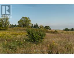 1430 County Rd 50 S, Adjala Tosorontio, ON L0N1P0 Photo 13