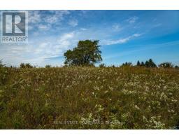 1430 County Rd 50 S, Adjala Tosorontio, ON L0N1P0 Photo 8