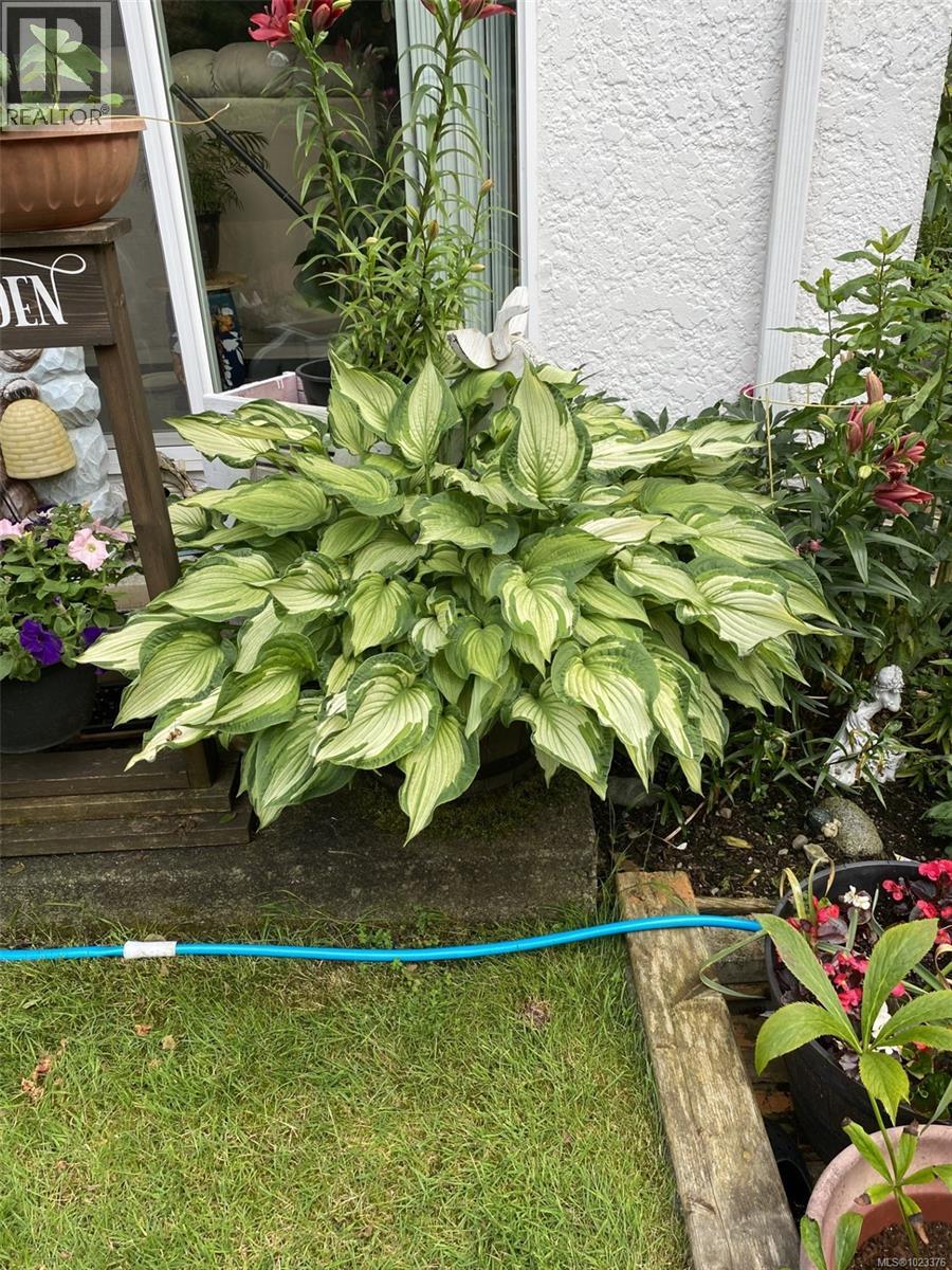 #11 9 BUTTERTUBS DR - 28