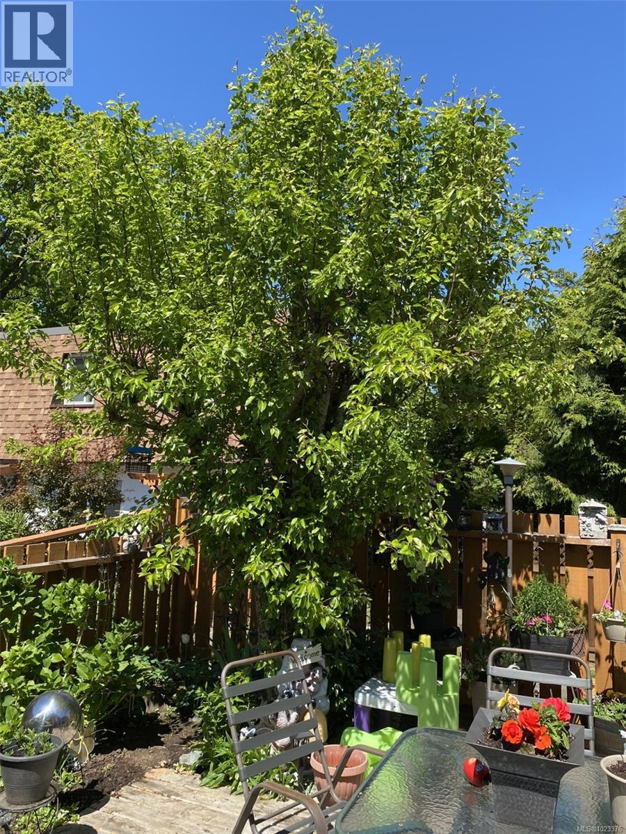 #11 9 BUTTERTUBS DR - 15