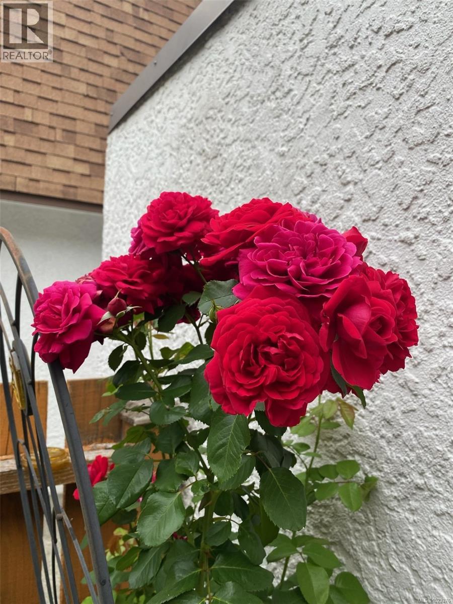 #11 9 BUTTERTUBS DR - 29