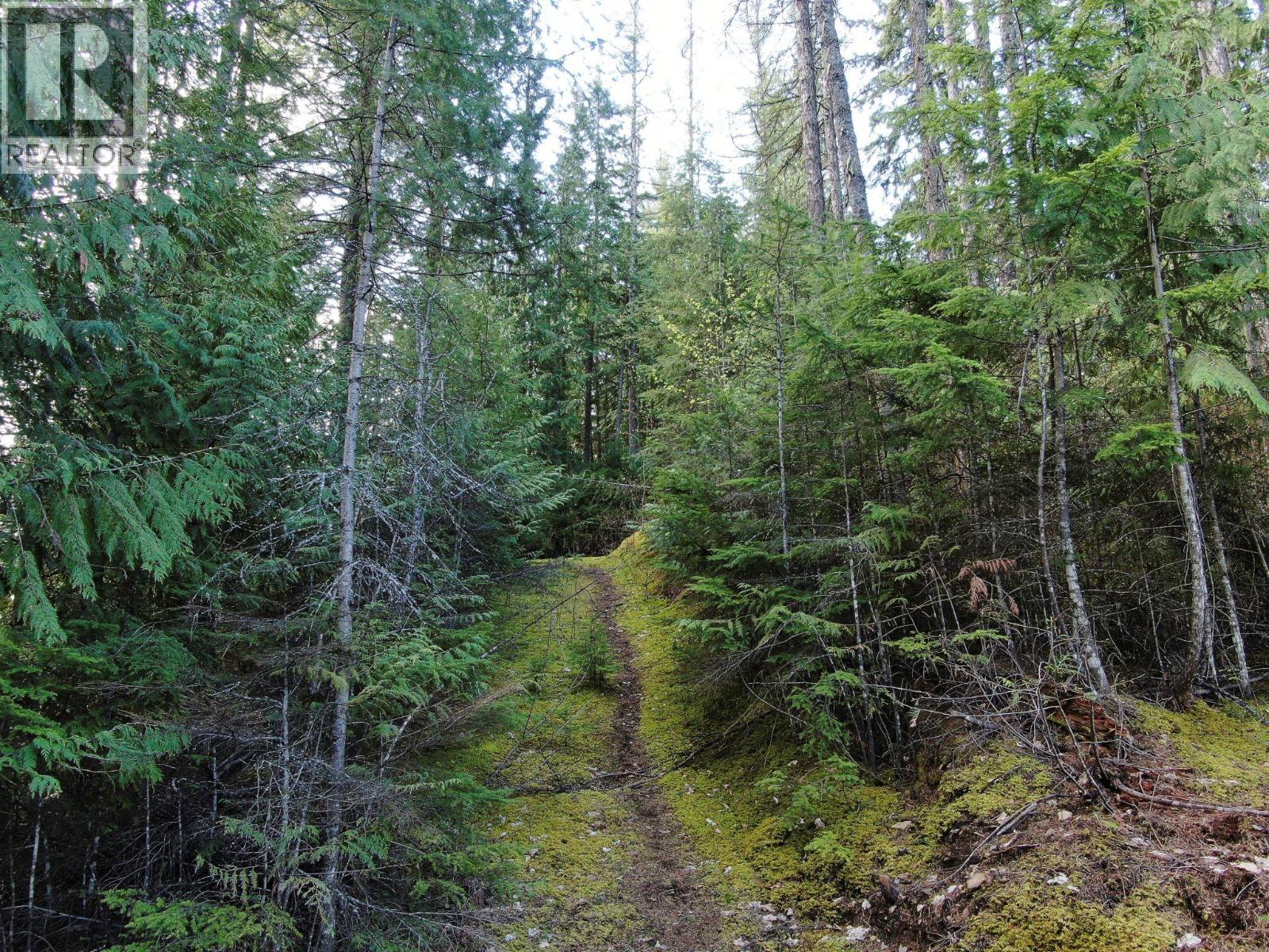 BALFOUR Avenue Lot# LOT 8, Kaslo