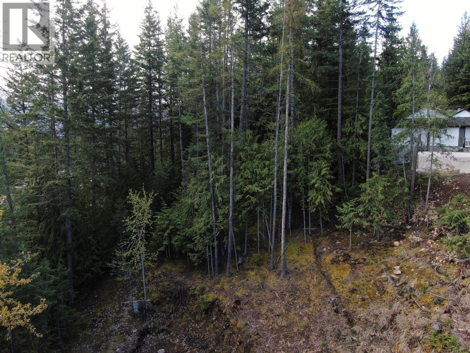 BALFOUR Avenue Lot# LOT 8, Kaslo