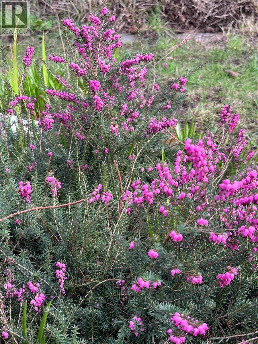 1612 PEMBROKE ST - 25