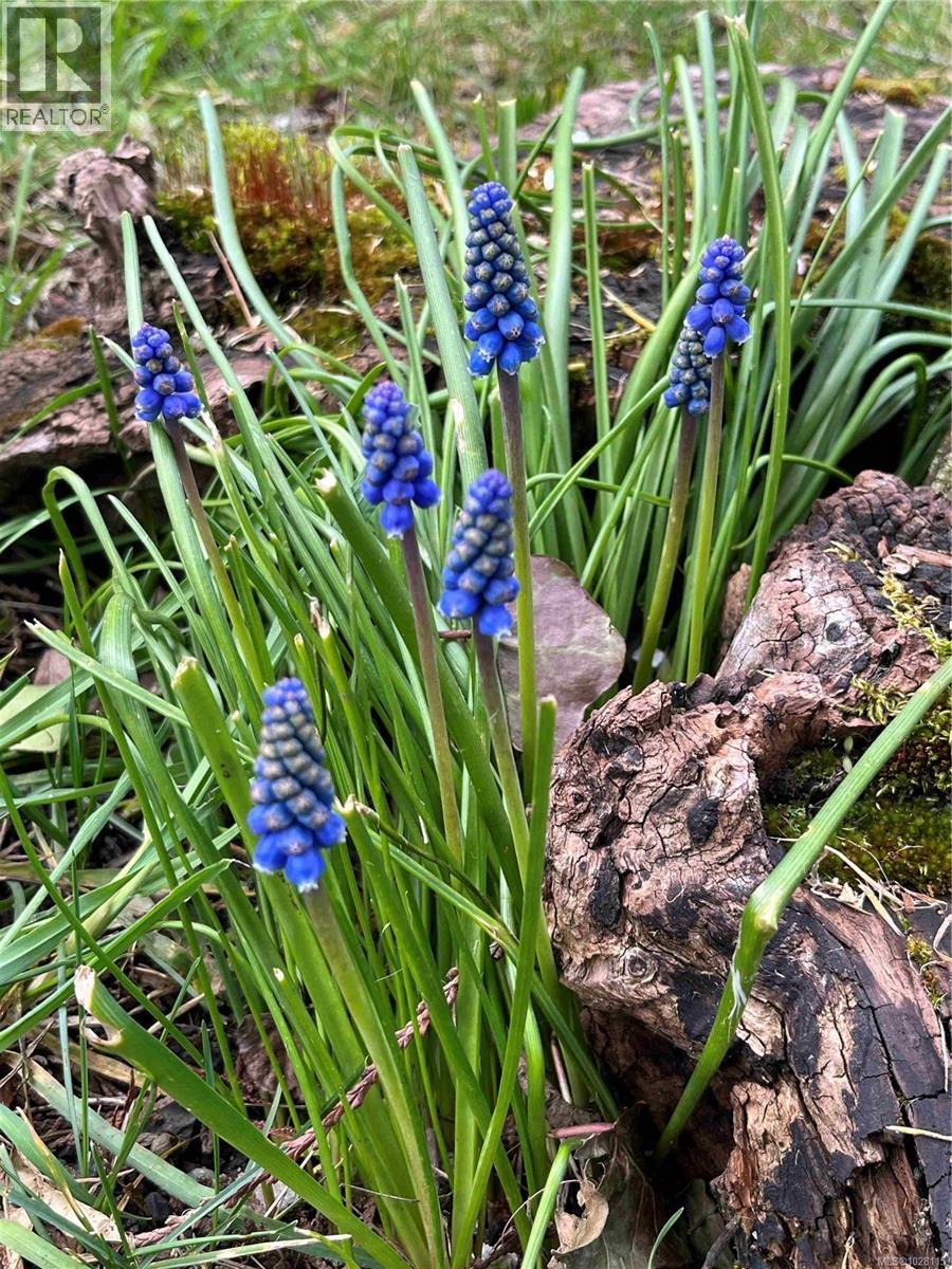 1612 PEMBROKE ST - 29