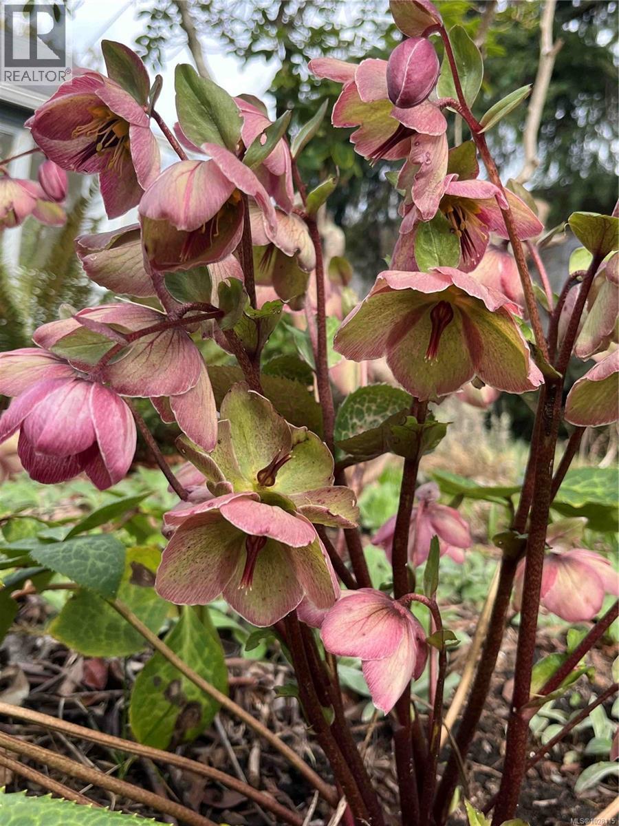 1612 PEMBROKE ST - 31