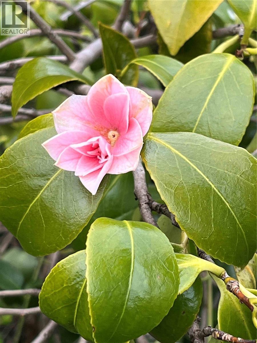 1612 PEMBROKE ST - 34