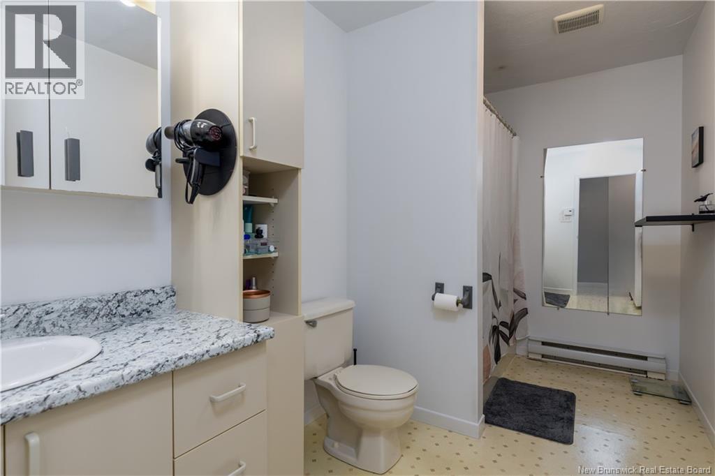 #11 127 Lafrance Street - 17