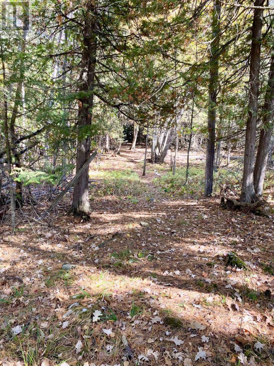 2.149 acre deeded shared water access