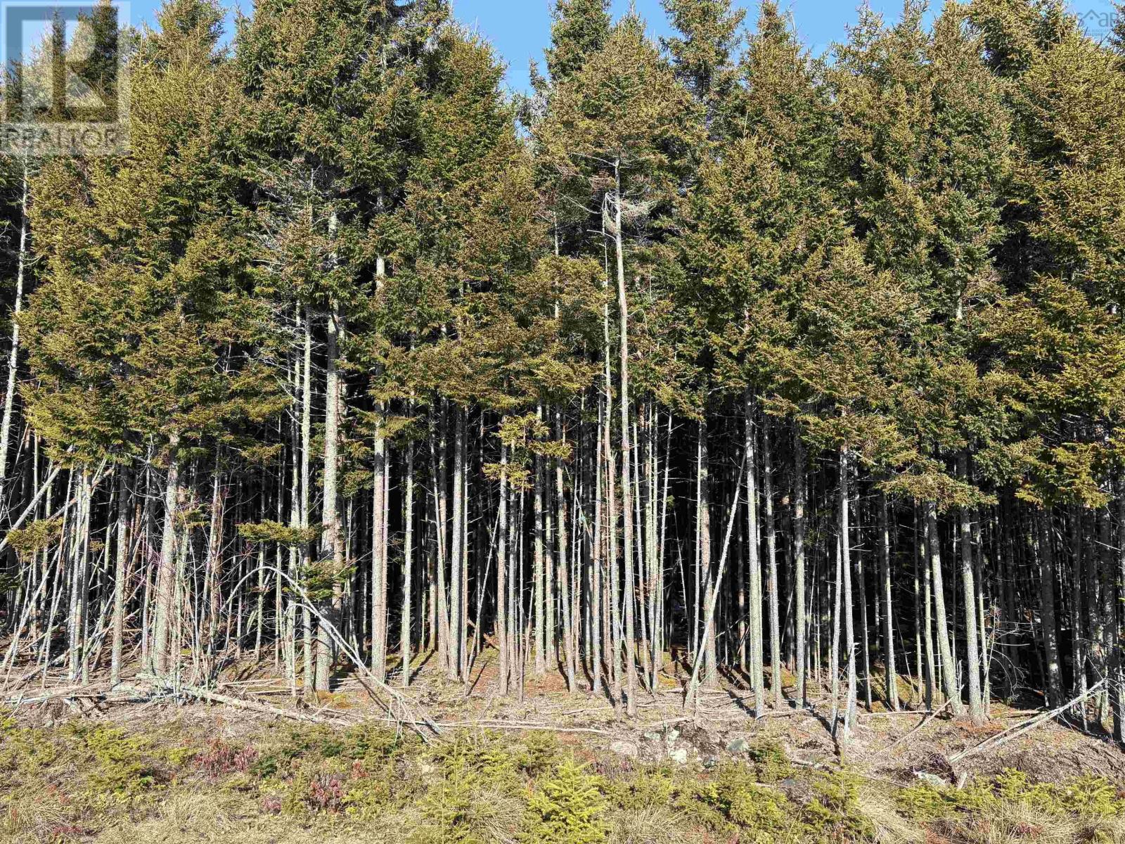 Property photo of 296 Notting Hill Road