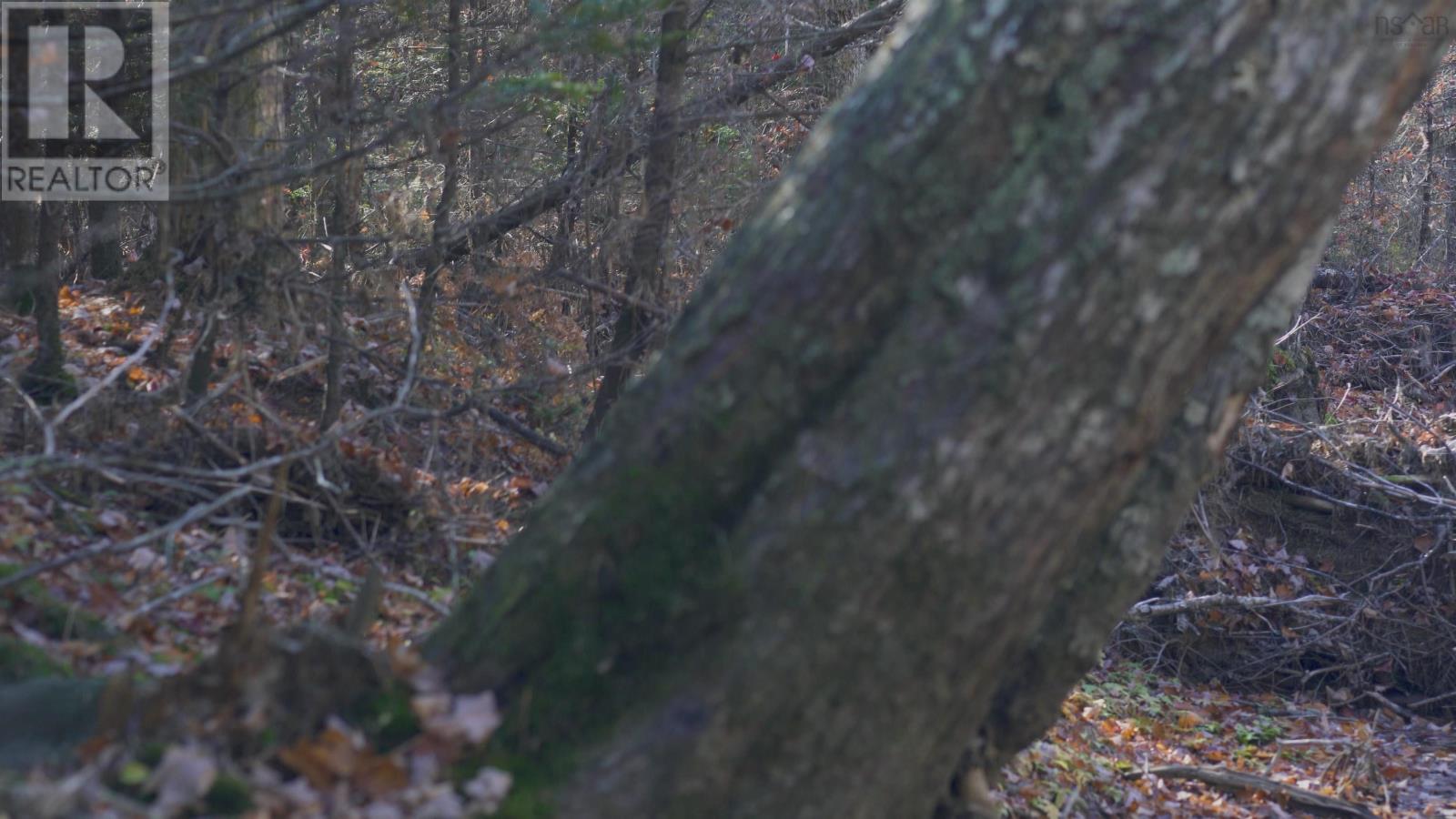 Property 16 of 30 of Lot 3 Maple Drive