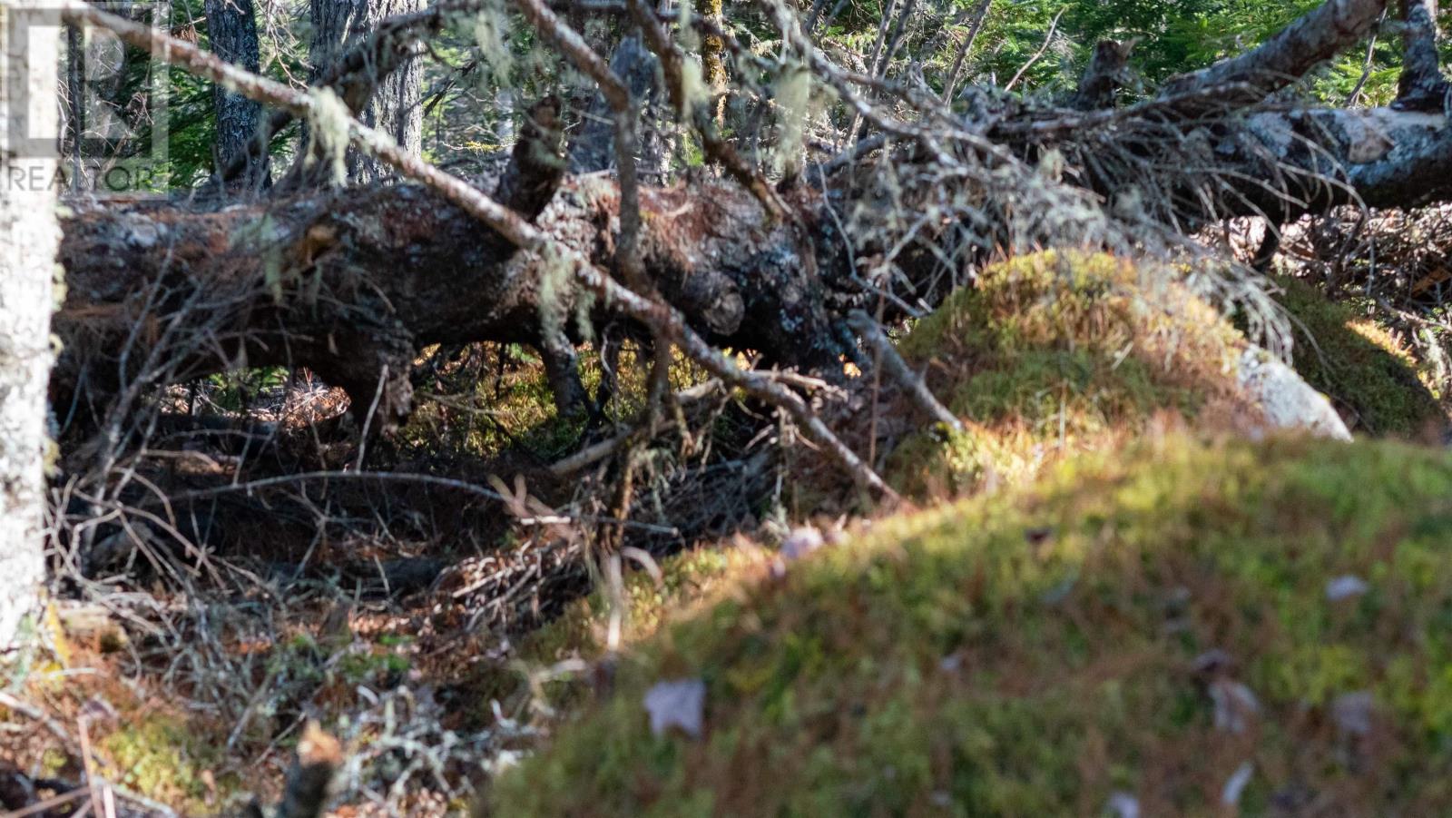 Property 7 of 25 of Lot 13 Maple Drive