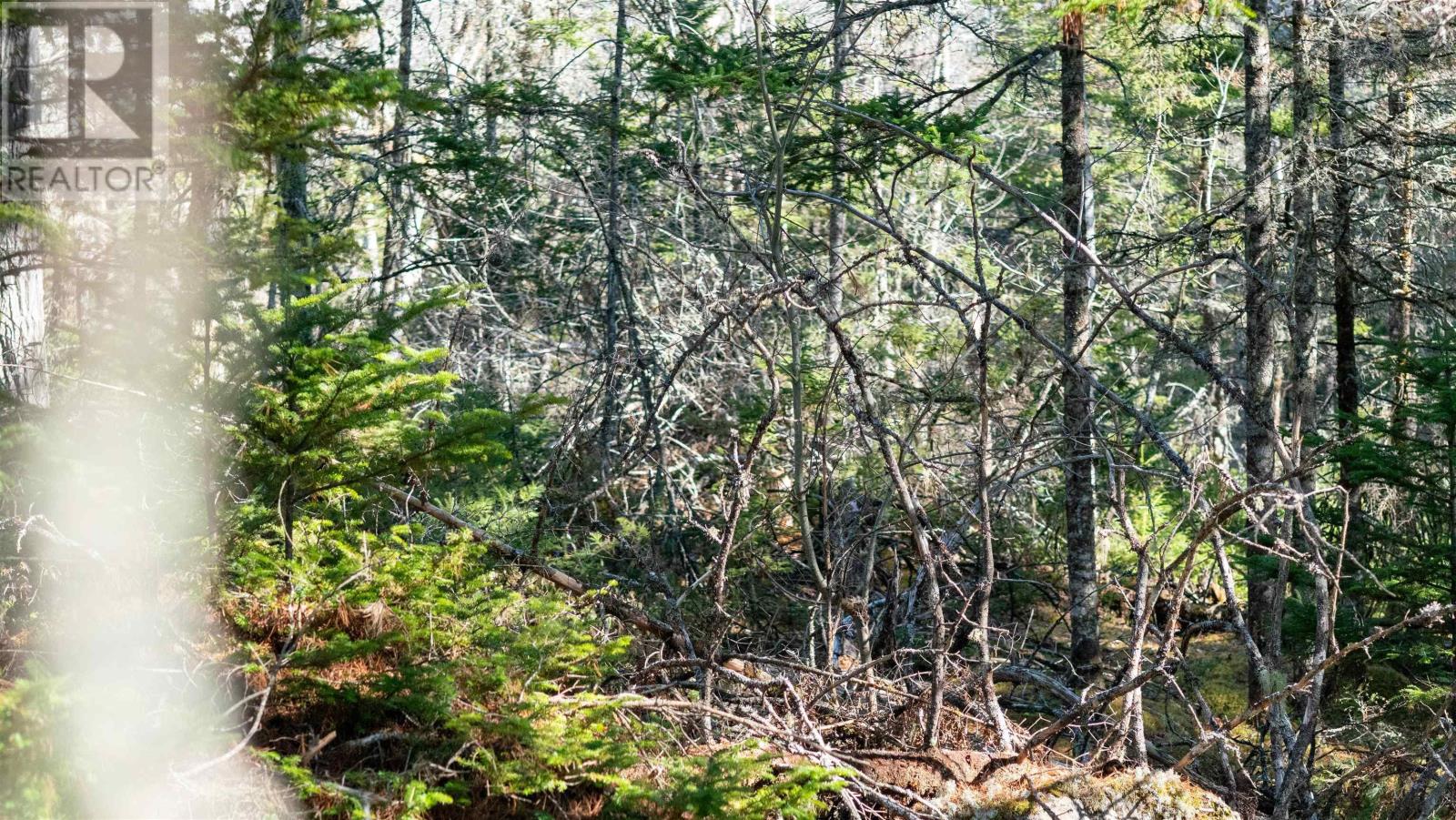 Property 9 of 25 of Lot 13 Maple Drive