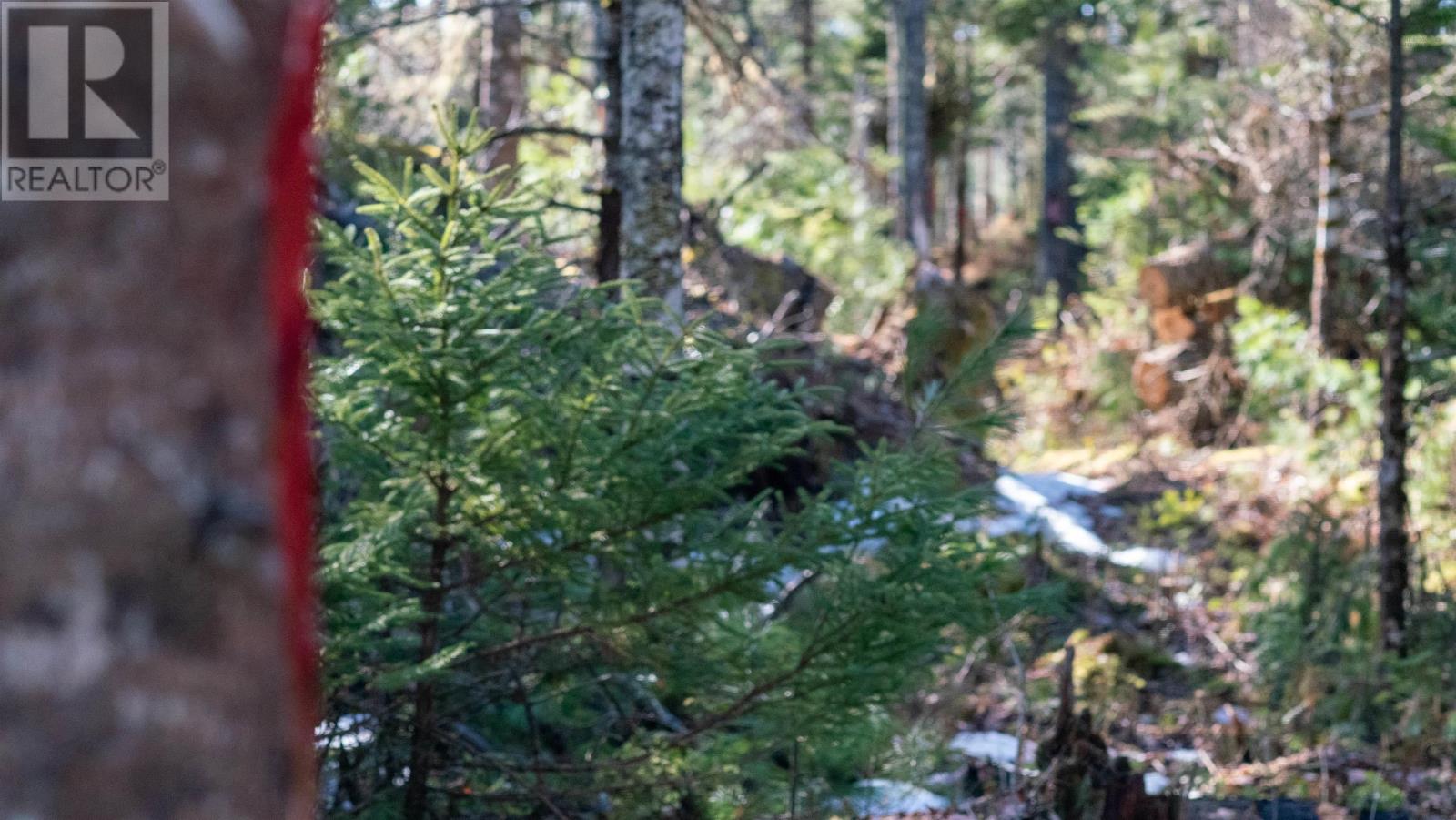 Property 12 of 26 of Lot 14 Maple Drive