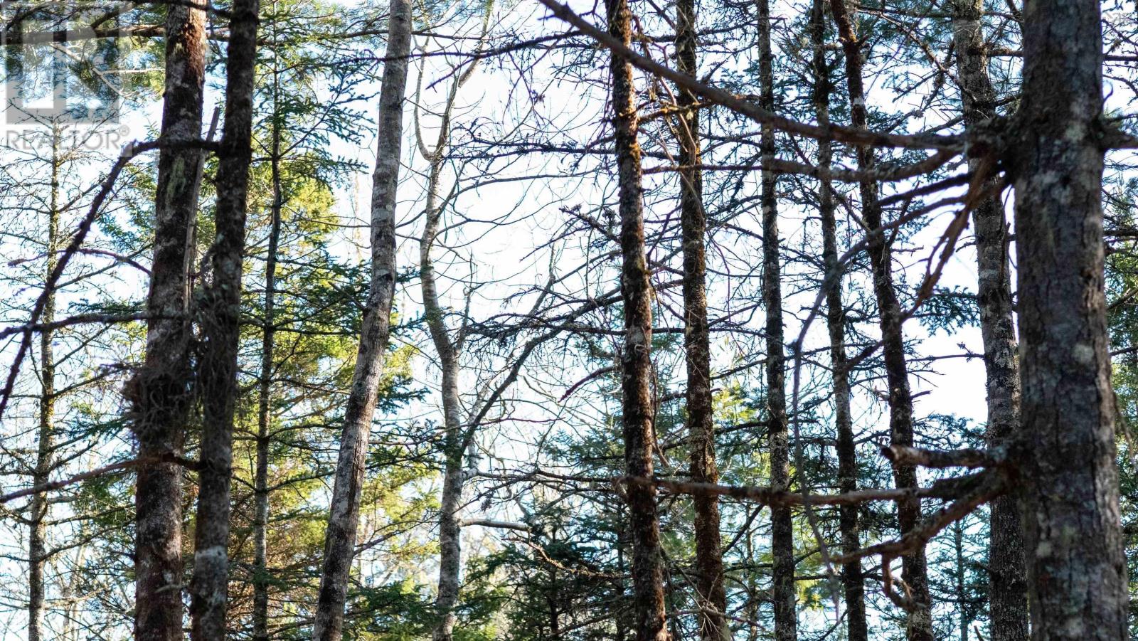 Property 14 of 25 of Lot 13 Maple Drive