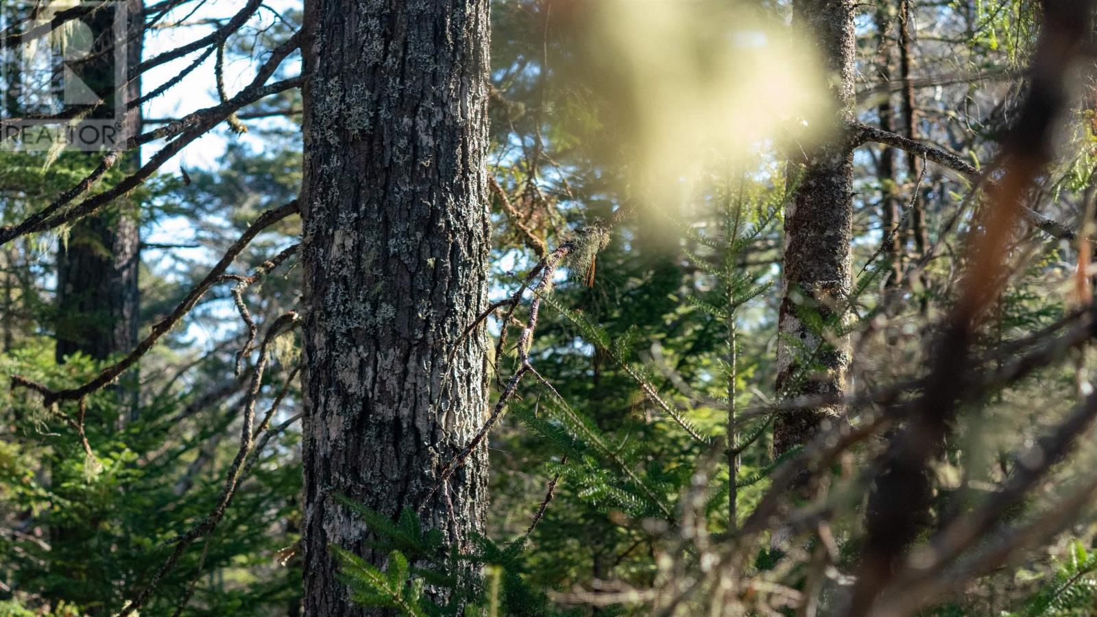 Property 8 of 25 of Lot 13 Maple Drive