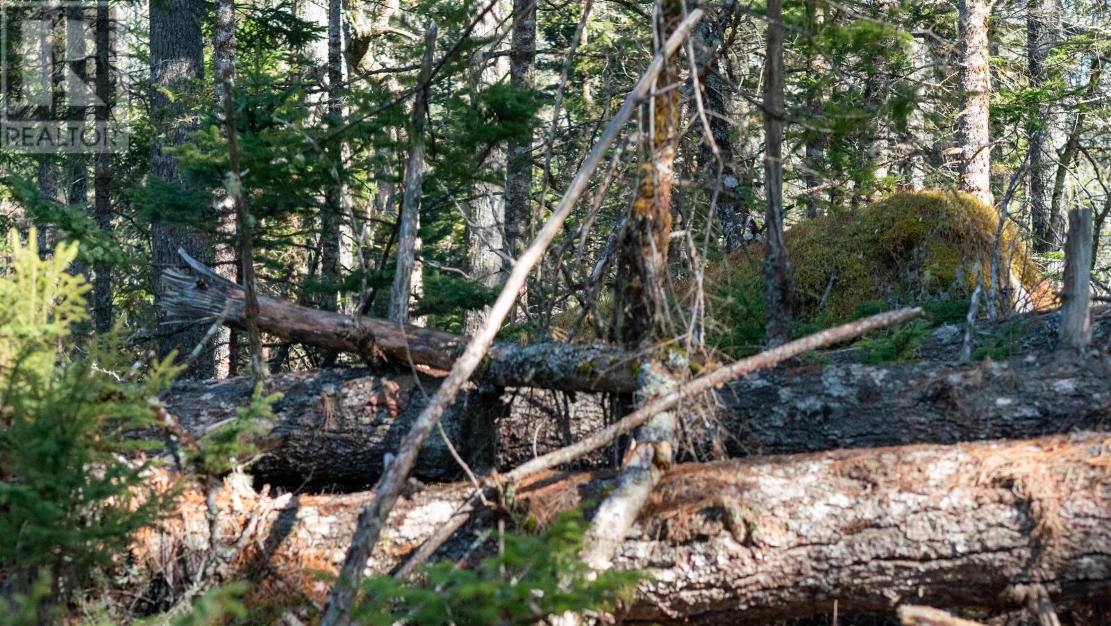 Property 3 of 26 of Lot 14 Maple Drive