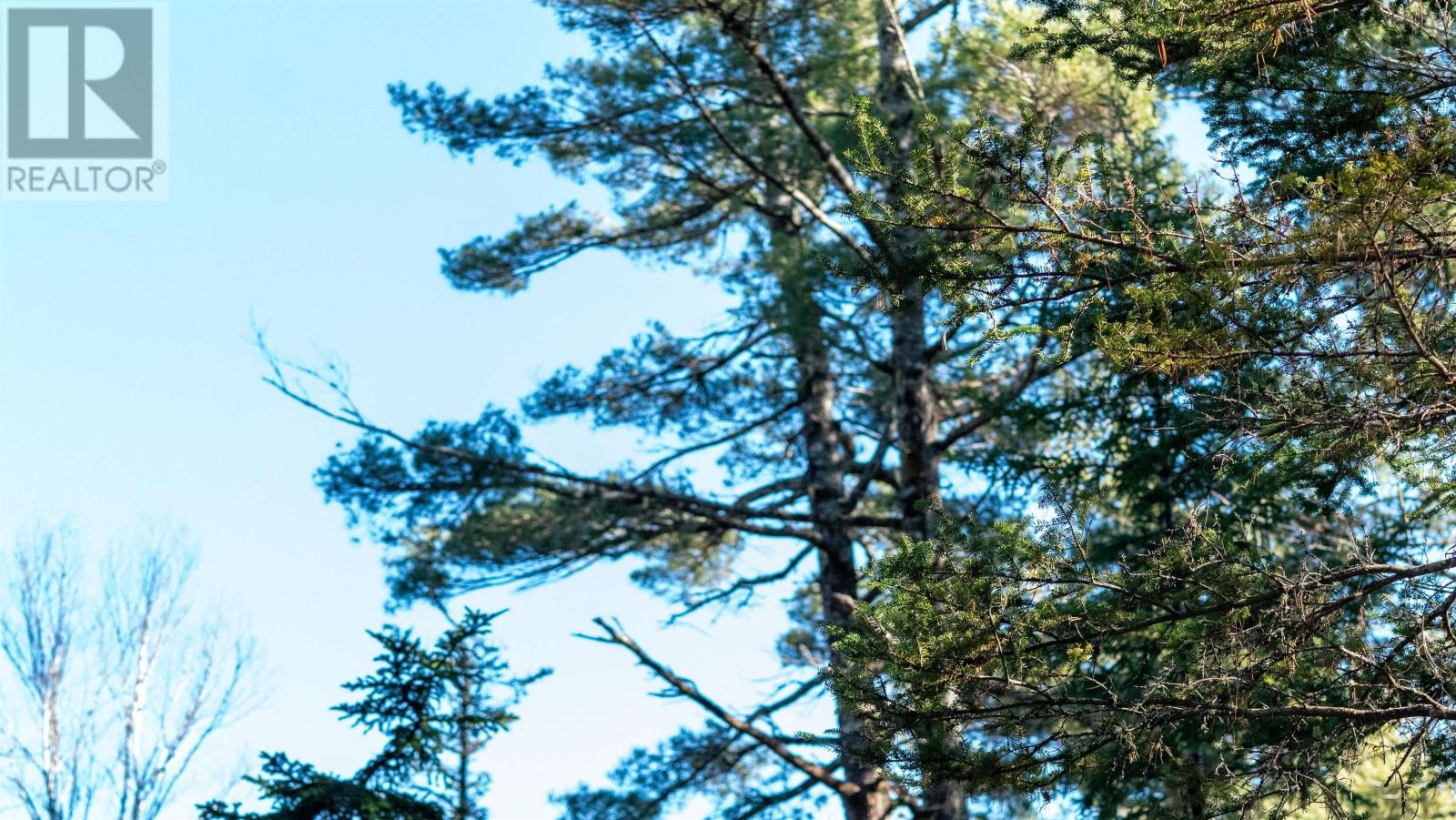 Property 7 of 26 of Lot 14 Maple Drive