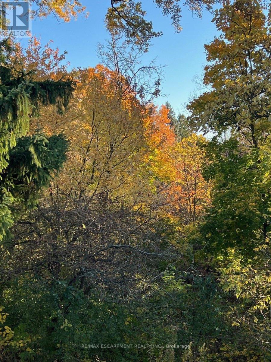 Single Family House for Sale in  CHATEAU COURT Hamilton (Mountview) 