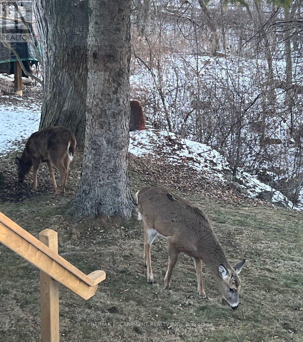 Single Family House for Sale in  CHATEAU COURT Hamilton (Mountview) 