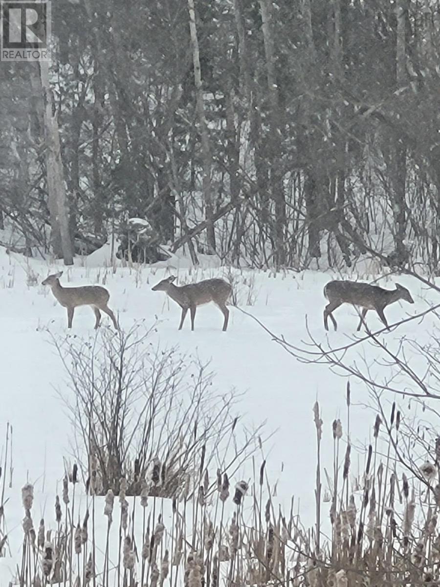 Property 12 of 13 of 56 Green Lane