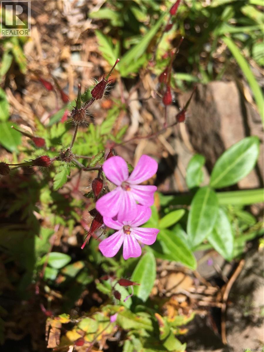  10912 Boas Road, North Saanich