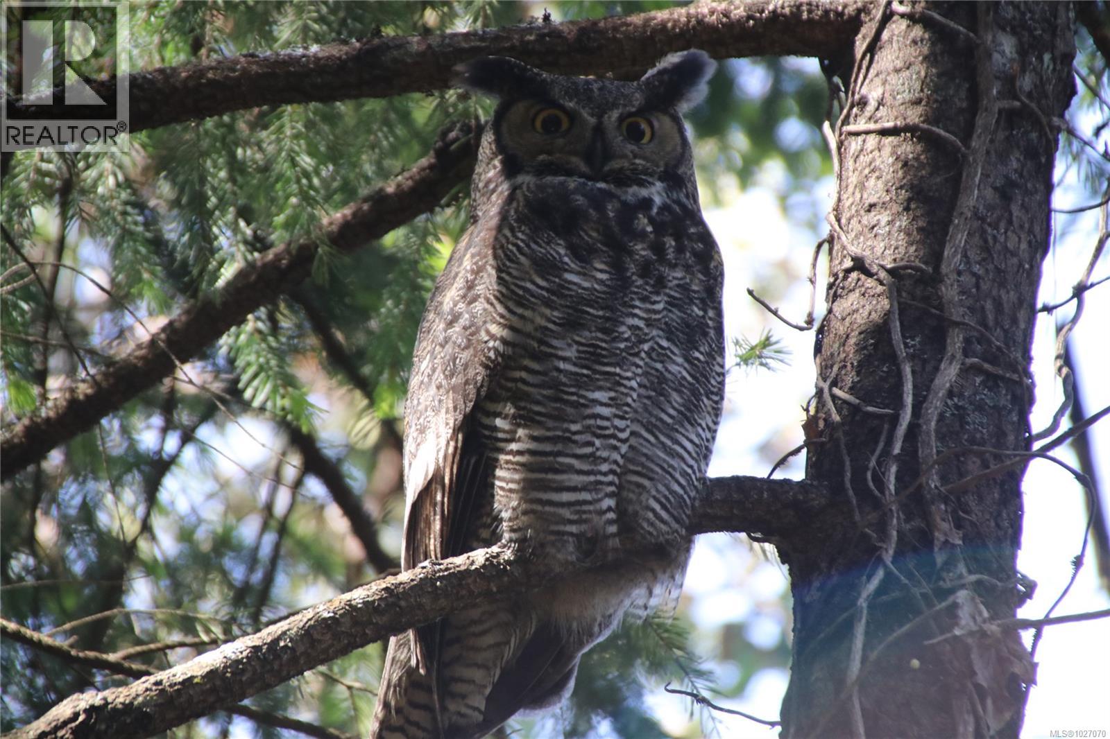  10912 Boas Road, North Saanich