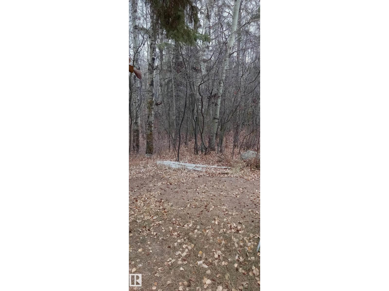 #203 60331 RANGE ROAD 124 - 27