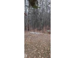 #203 60331 Range Road 124, Rural Smoky Lake County, AB T0A3E0 Photo 27