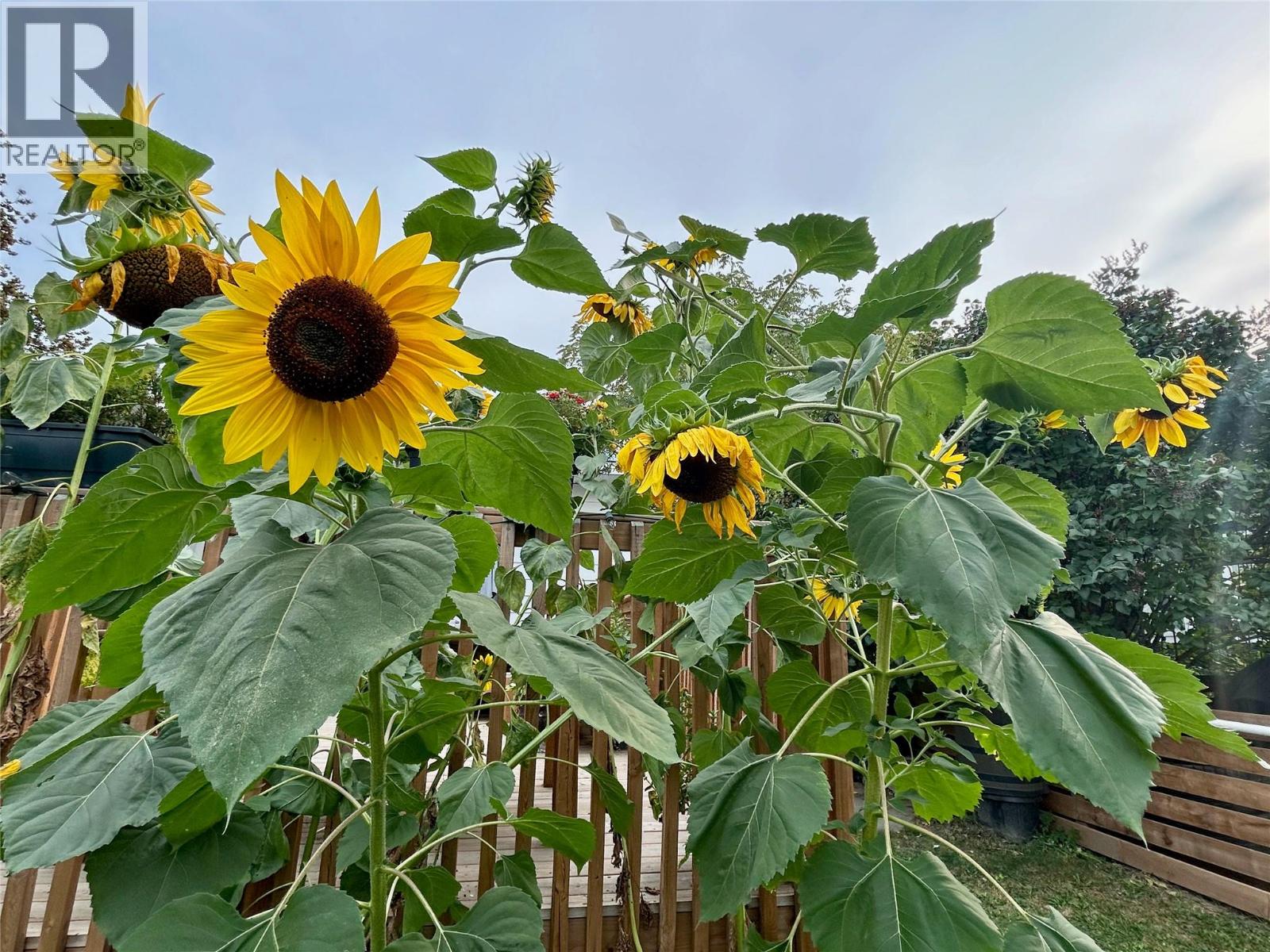 715 Mill Avenue, Enderby