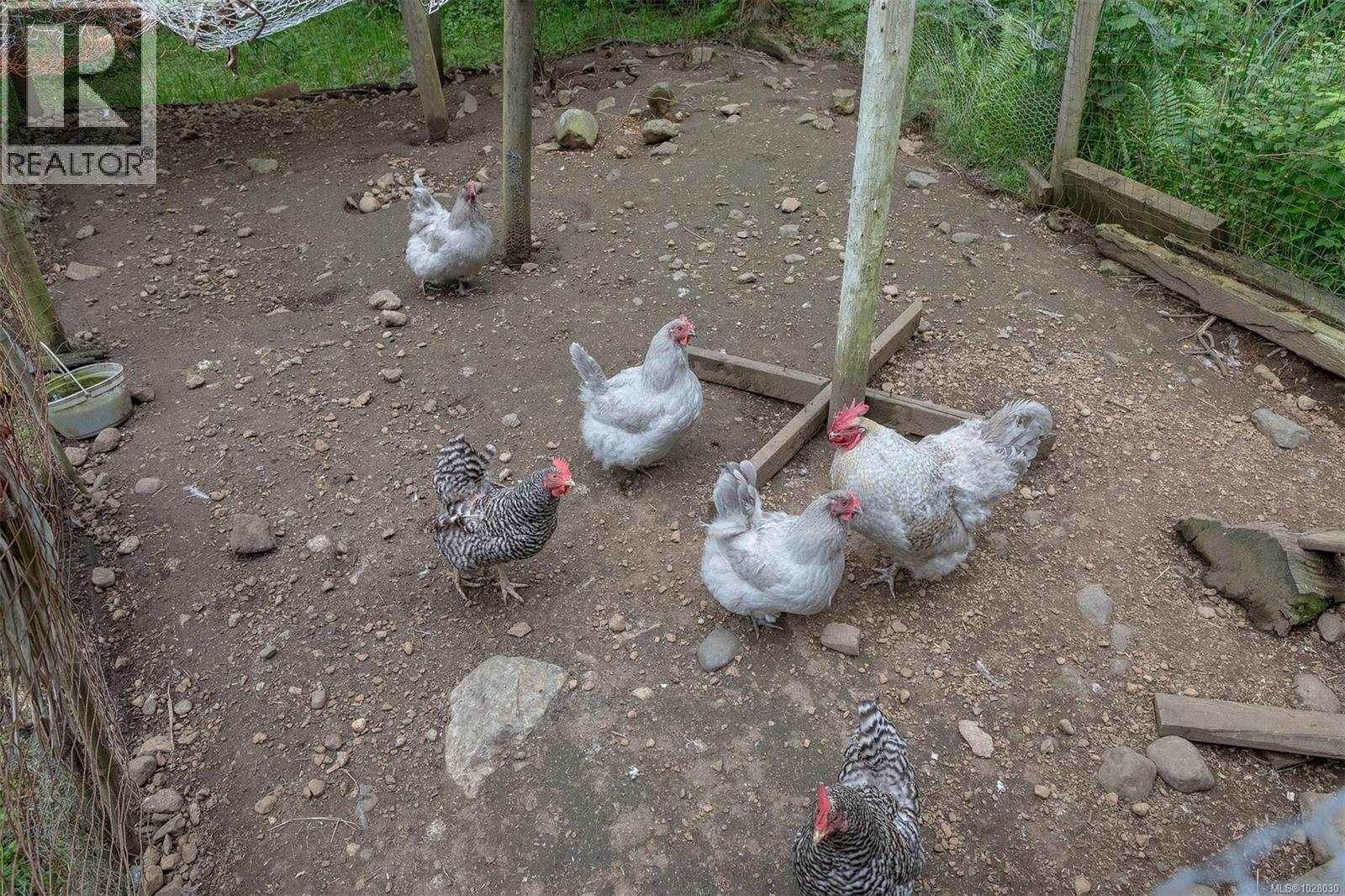  5162 Sooke Road, Sooke