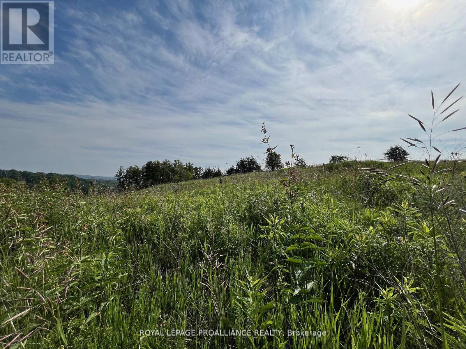 LOT 24 MCCARTY DRIVE - 5